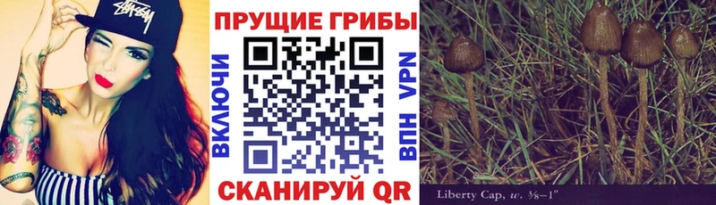 Псилоцибиновые грибы Cubensis  darknet формула  Оса  купить закладку 